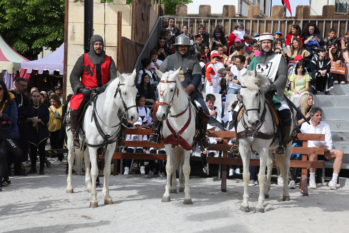 Cavaleiros de Ribadouro