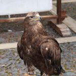 Image00090